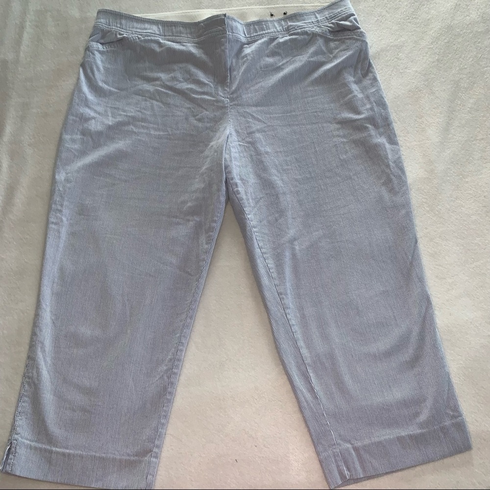 Avenue Pinstripe Capri Pants Blue Size 20